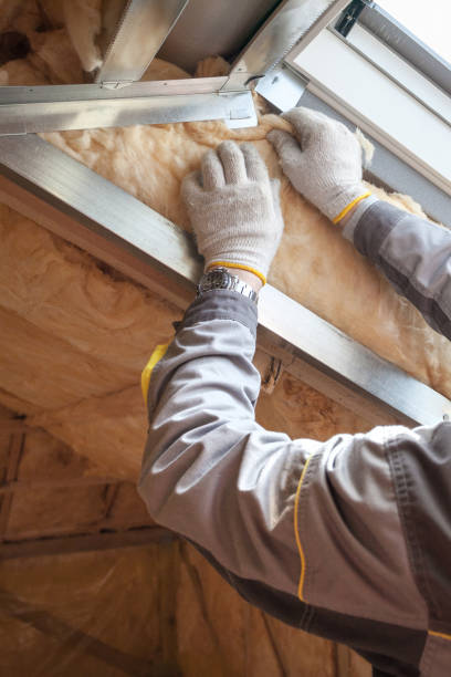 Best Home Insulation Services  in Gang Mills, NY