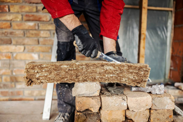 Best Home Insulation Services  in Gang Mills, NY