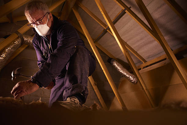 Best Insulation Replacement Services  in Gang Mills, NY