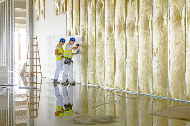 Best Insulation Contractors for Homes  in Gang Mills, NY